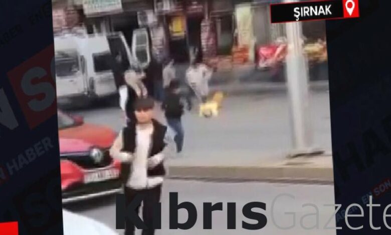 Şırnak'ta yanan piknik tüpünü balkondan sokağa attı 1 sirnakta yanan piknik tupunu balkondan sokaga atti AGOEFQhr