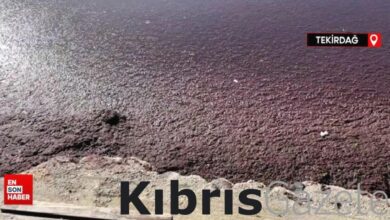 tekirdagda lodos nedeniyle sahilde kirmizi yosun birikti enKmirhh