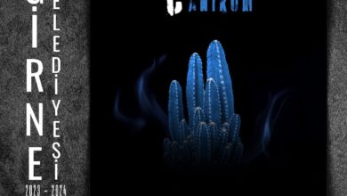 Tiyatro Günleri’nde yarın “Hadi Öldürsene Canikom” sahne alıyor 5 tiyatro gunlerinde yarin hadi oldursene canikom sahne aliyor VahrZAyr