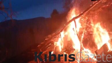 Tokat'ta ahır yangınında 50 koyun telef oldu 9 tokatta ahir yangininda 50 koyun telef oldu k9wijegf