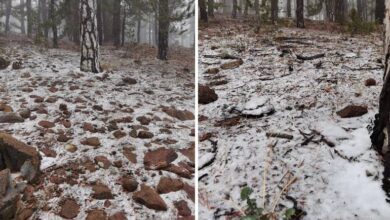 trodosa yilin ilk kari dustu qmZD5OQf