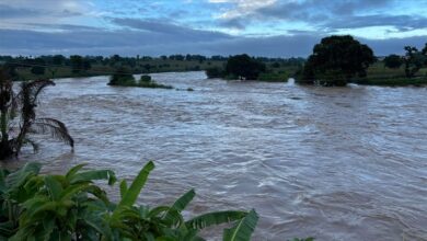 unicef nijeryada seller 4 yilda 650 bin cocugu yerinden etti thzNgw1X