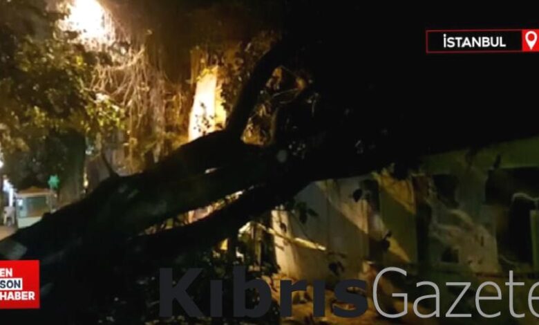 uskudarda evin bahce duvarina agac devrildi yQimGdtl