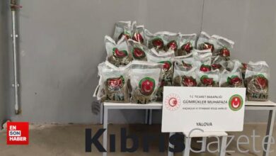 yalovada 10 milyon lira degerinde 80 kilo esrar ele gecirildi 5dlN6lAj