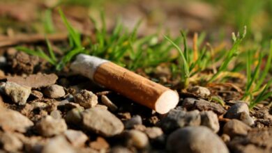 yanginlarin nedeni sondurulmeden atilan sigara izmariti znF5MUmm