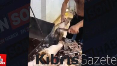 yari ciplak bir sekilde dana ayagi temizledi DV4VqyRg