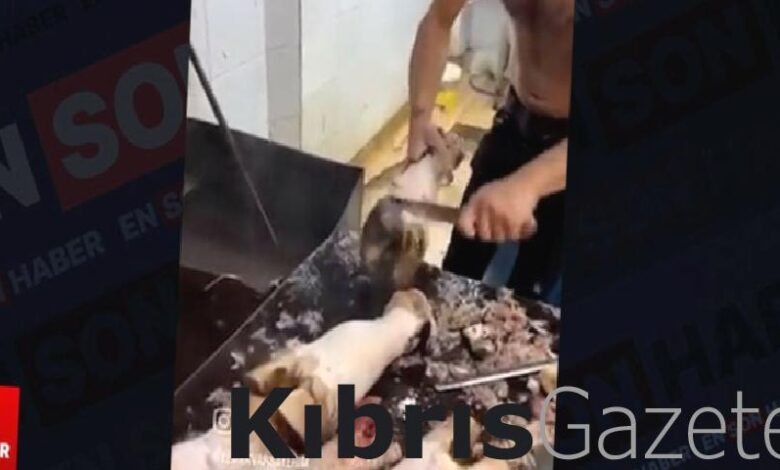 yari ciplak bir sekilde dana ayagi temizledi DV4VqyRg