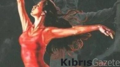 yazar deniz kuscunun milli mucadele ve cumhuriyet kadinlari kitabinda iz birakan kadinlar alcXYQyP