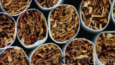 yeni zelanda gelecek nesillere sigara icmeyi yasaklayan duzenlemeden vazgecti y3qPIFjI