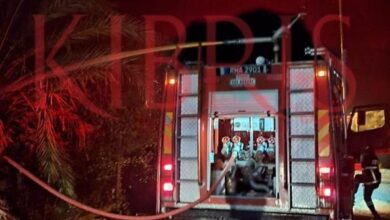 Yıldırım düşmesi sonucu hurma ve palmiye ağaçları yandı! 7 yildirim dusmesi sonucu hurma ve palmiye agaclari yandi kPgait2T