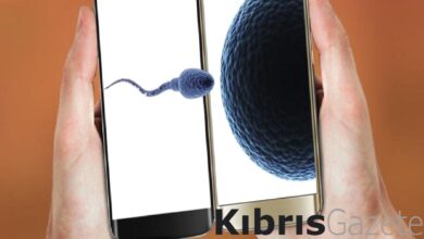 yogun bir sekilde cep telefonu kullanmak sperm sayisini dusurur mu uNBnAjue