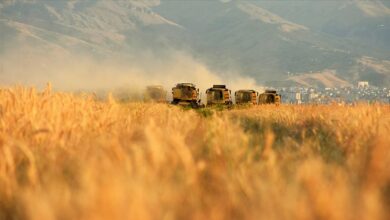 2022 2023 uretim yilinda zarar goren koy ve bolgeler ilan edildi destekler aciklandi FgMEaUKz