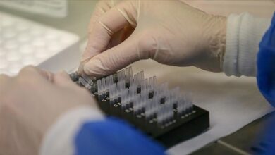 abdli genetik arastirma sirketi yaklasik 69 milyon kullanicisinin bilgilerinin calindigini acikladi BM4sDW5y