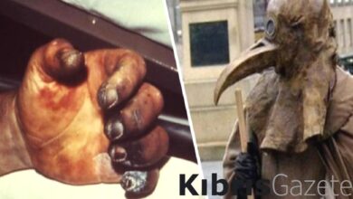 Abur cuburları seviyor musunuz? Bilim insanları nedeni 'Kara Veba' diyor 1 abur cuburlari seviyor musunuz bilim insanlari nedeni kara veba diyor lCXd91a8