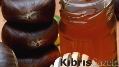 ac karnina kestane bali yiyin neler oluyor bakin UsHZrsJL