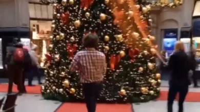 almanyada iklim aktivistleri noel agacini hedef aldi QEiigg7p