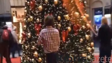 almanyada iklim aktivistleri noel agacini hedef aldi gKEqB8tB