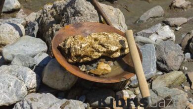 avustralyada adeta altin fiskiran o bolgeye akin ediliyor q1Ebjxvu