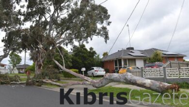 avustralyada siddetli firtina nedeniyle binlerce kisi elektriksiz kaldi ijBnS3KE