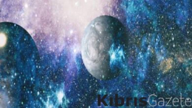 Aydınlanma Sorunu ve Değerler kitabıyla sorgulayıcı bir okuma 1 aydinlanma sorunu ve degerler kitabiyla sorgulayici bir okuma pCndj64O