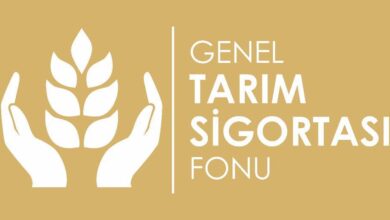Bağlarda meydana gelen dolu zararıyla ilgili değerlendirme sonuçları askıya alındı 7 baglarda meydana gelen dolu zarariyla ilgili degerlendirme sonuclari askiya alindi nuc28qaI