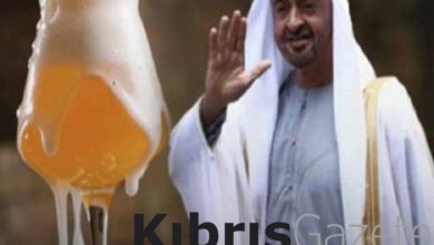 Birleşik Arap Emirlikleri’nde tarihi adım! 1 birlesik arap emirliklerinde tarihi adim WnQaktP1