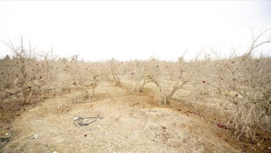 BM, Paris İklim Anlaşması’na göre açlığı bitirmek için “küresel yol haritası” sürecini başlattı 10 bm paris iklim anlasmasina gore acligi bitirmek icin kuresel yol haritasi surecini baslatti QTzIR5ag