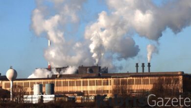 bmden zengin ulkelere cagri karbonsuzlasma adimlarini hizlandirin jKqZmei1