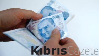 buyukbas hayvan dusuk zararlari odendi i2B9hKc7