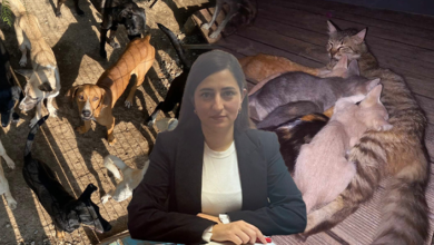 Canice ölüm ‘hafif suç’ olmamalı! 3 canice olum hafif suc olmamali RLDNKJa7