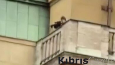 cekyada 15 kisinin oldugu saldiriya iliskin yeni goruntuler ortaya cikti qBjFE63K