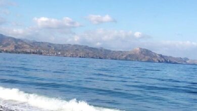 cengizkoy sahilinde cevre temizligi yapildi h6rKV3AY