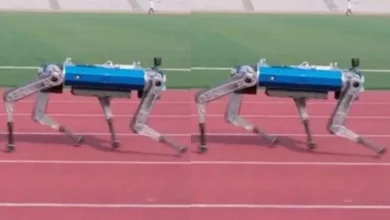 guney koreli robot guinness rekorlar kitabina girdi qqnsq9qI