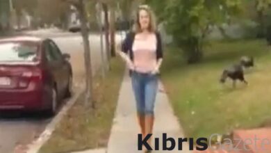 harvard profesorunun esi gerberden kefiye takan ogrenciye sozlu taciz mlfF9Ucv