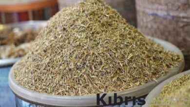 hastaliklar artinca siyah cayin tahti sallandi iste zahter cayinin saymakla bitmeyen faydalari 4j9TRPW7