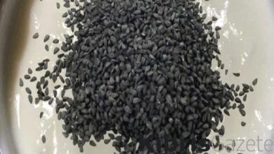 her gece corek otlu yogurt yemenin faydalari iwqtpTuI