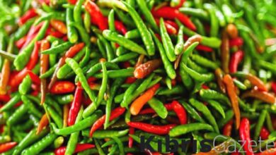 her gun 1 tane aci biber yiyin neler oluyor bilin qhyia5qt