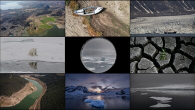 İklim değişikliği etkilerinin arttığı 2011-2020 dönemi, kayıtlara “en sıcak 10 yıl” olarak geçti 7 iklim degisikligi etkilerinin arttigi 2011 2020 donemi kayitlara en sicak 10 yil olarak gecti 73dBYFVU