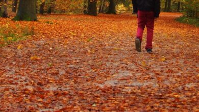 İngiliz çocuk, İspanya’da kaybolduktan 6 yıl sonra Fransa’da tek başına yürürken bulundu 3 ingiliz cocuk ispanyada kaybolduktan 6 yil sonra fransada tek basina yururken bulundu Y7N4HJkb