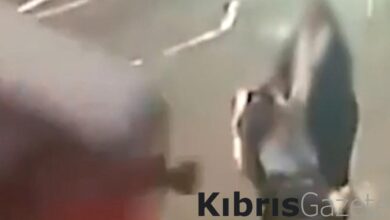 İngiltere'de devrilen arabanın altında kalmaktan kıl payı kurtuldular 8 ingilterede devrilen arabanin altinda kalmaktan kil payi kurtuldular 7d5QIveh