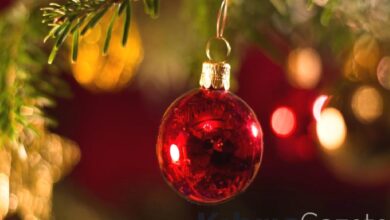 KKTC’de yeni yıl hazırlıkları devam ediyor… 9 kktcde yeni yil hazirliklari devam ediyor tJSk8PFS