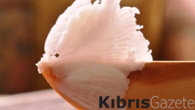 kuyruk yagi ile vazelin karisiminin faydalari mucize diyorlar Qv4iQvTK