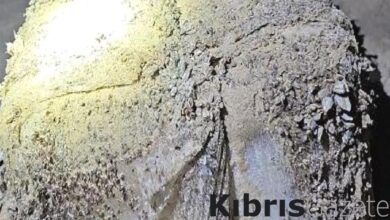 midye kapli kokain paketleri avustralya kiyilarina vurdu csuQJpn7