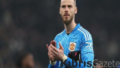 newcastle united david de geayi radarina aldi 3JBUEDwF