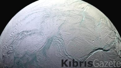 Satürn'ün uydusunda yaşam için gerekli bileşen bulundu 1 saturnun uydusunda yasam icin gerekli bilesen bulundu uNI1SuKq