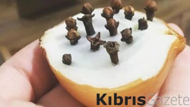 sogana karanfil batirin etkisine sasirin F3ZBet1I