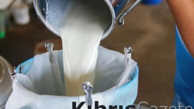 Süt bedelleri bugün ödendi 5 sut bedelleri bugun odendi CrSZL6VA