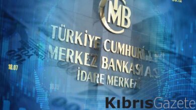 TCMB’nin 2024 yol haritası 9 tcmbnin 2024 yol haritasi atTUe3Ig