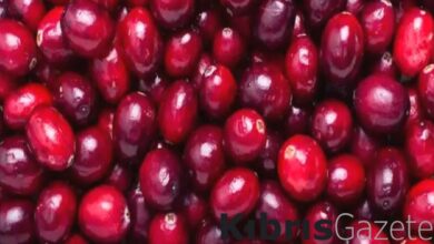 tip dunyasi sokta 4 saatte kanser hucrelerini yok ediyor utY5nXl8