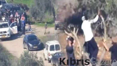 Yahudi yerleşimciler, Filistinlilerin zeytin ağaçlarını yağmaladı 6 yahudi yerlesimciler filistinlilerin zeytin agaclarini yagmaladi DvEudnIP